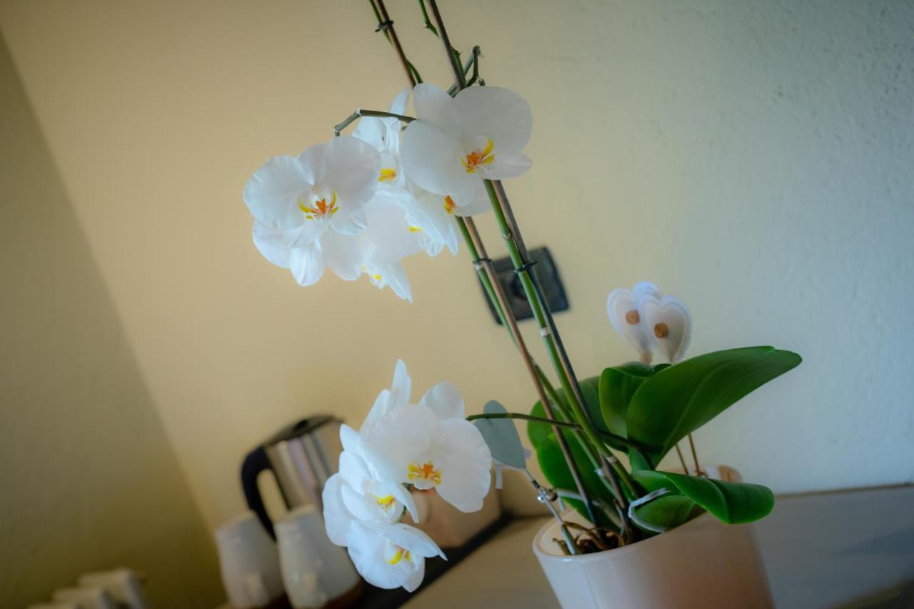 Villamour Boutique Hotel & Spa La Salle Luaran gambar